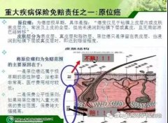 <b>香港保险与内地理赔界定大对比!史上最全!</b>